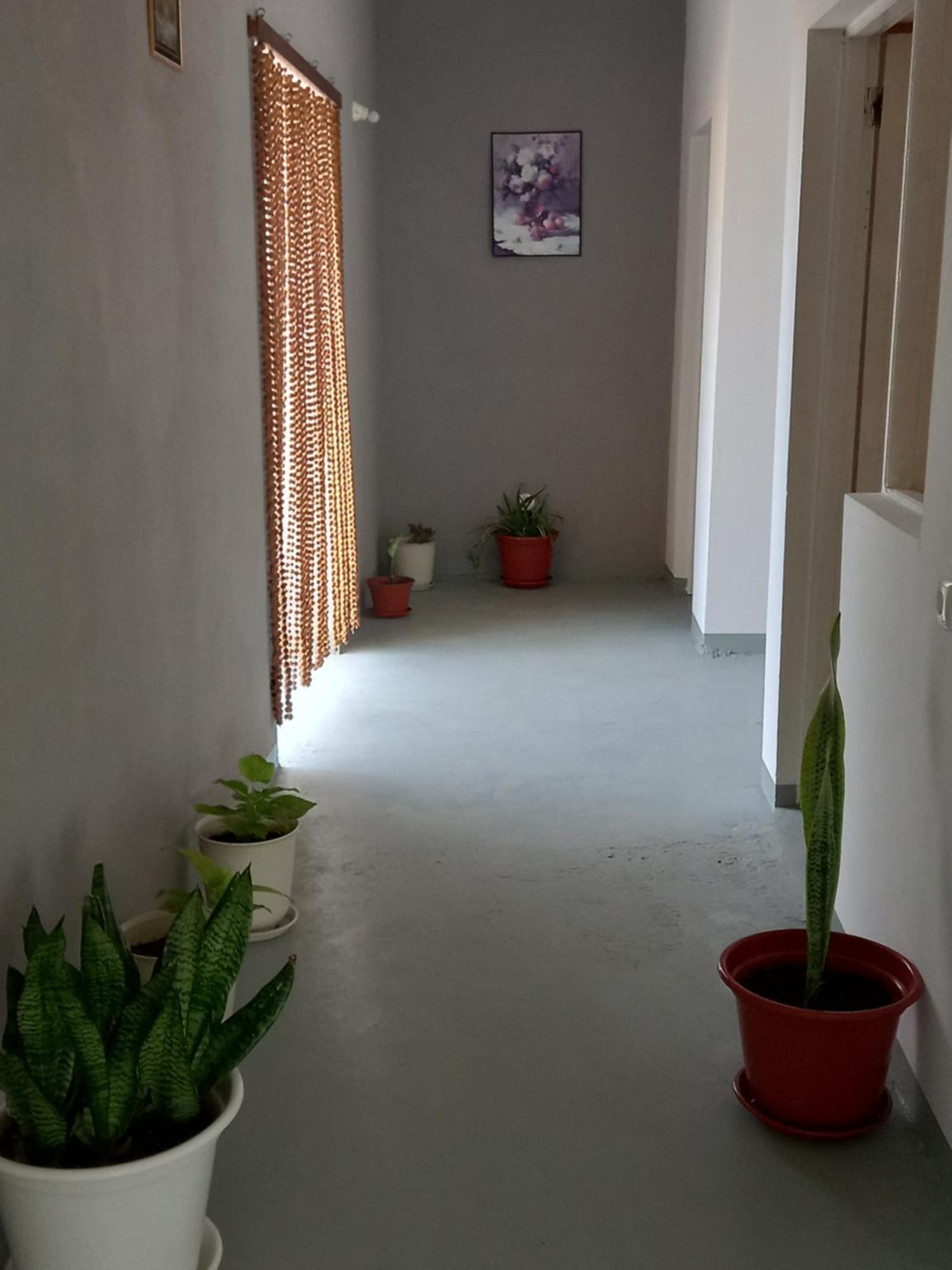 Bed and Breakfast Residencial Rosa Criola Sal Rei Exterior foto